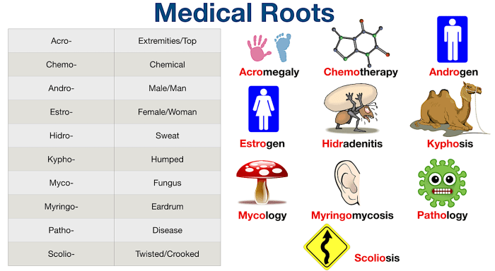 Translate the root ichthy o