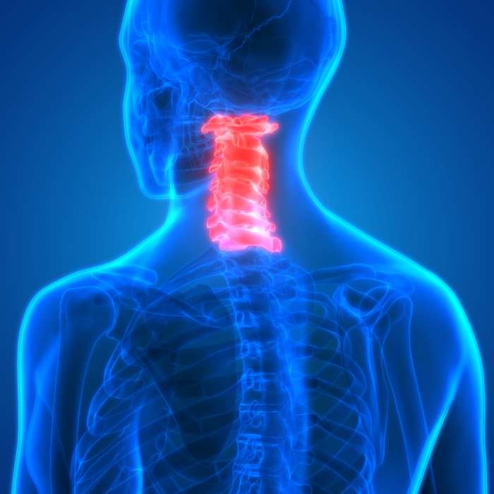 Head neck spinal injuries