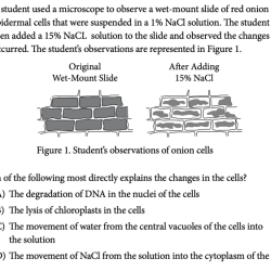 Unit 1 ap euro practice test