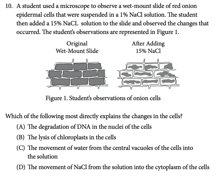 Unit 1 ap euro practice test