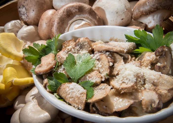 Portobello mushroom chicken recipe texas roadhouse